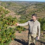 Sul Informação - Cooperativa GuadiMonte quer afirmar-se como «a marca de Castro Marim»