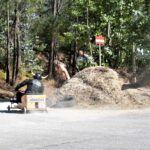 Sul Informação - Carrinhos de rolamentos aceleraram Serra de Monchique abaixo [fotogaleria]