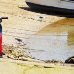 Sul Informação - Oito dezenas de fotógrafos correram Portimão à procura das melhores imagens [fotogaleria]