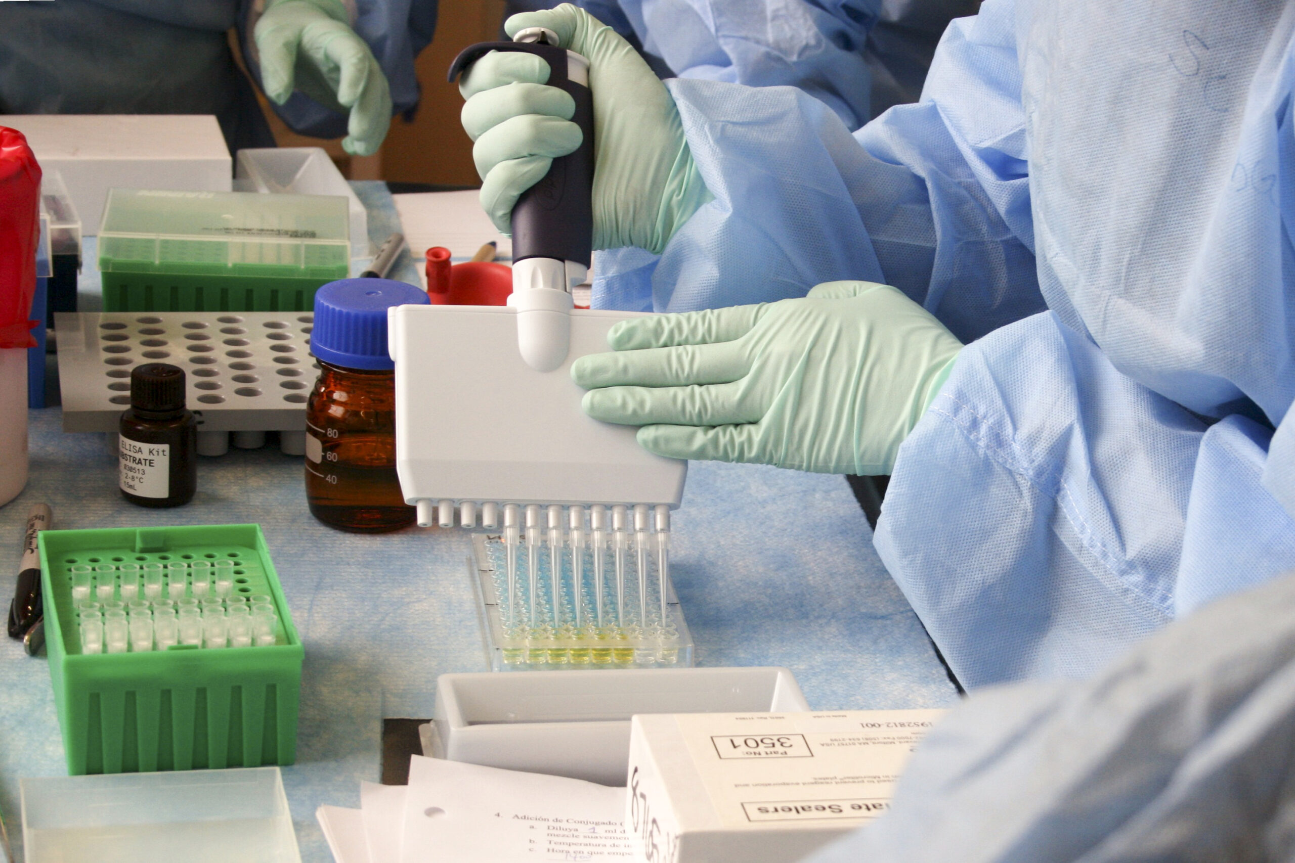 Sul Informação - Covid-19: Algarve volta a não ter óbitos, novos casos no país com mínimo de meses