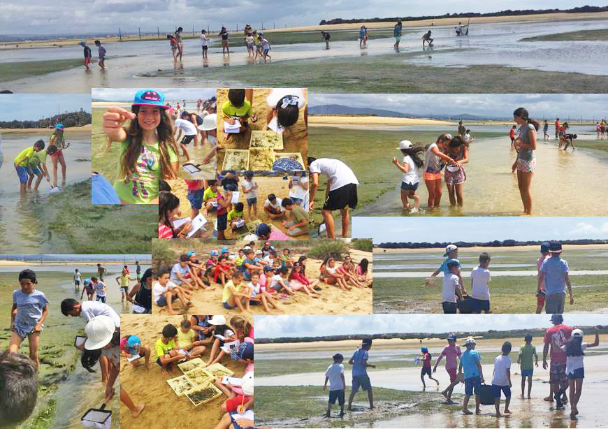 Sul Informação - Crianças da Culatra recebem prémios por ilustrações das pradarias marinhas da ilha