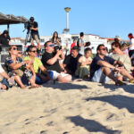 Sul Informação - Nestes concertos de Miguel Araújo, o palco é a areia e o cenário a Ria Formosa