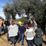 Sul Informação - UAlg deu curso sobre a Dieta Mediterrânica a alunos de nove países