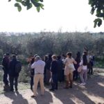 Sul Informação - UAlg deu curso sobre a Dieta Mediterrânica a alunos de nove países