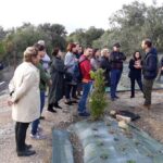 Sul Informação - UAlg deu curso sobre a Dieta Mediterrânica a alunos de nove países