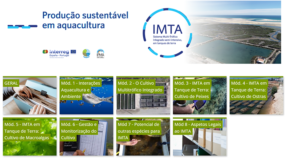 Sul Informação