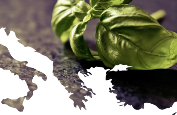 Sul Informação - UAlg realiza seminário para promover a Dieta Mediterrânica como conceito multidisciplinar