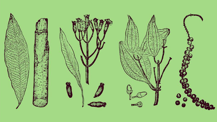 Sul Informação - DRCAlentejo e Fundação Nossa Senhora da Esperança inauguram exposição “Aromas que nos Guiam”