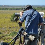 Sul Informação - Gente de toda a Europa de binóculos nos olhos para ver as aves em Sagres