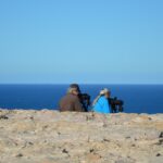 Sul Informação - Gente de toda a Europa de binóculos nos olhos para ver as aves em Sagres