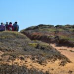 Sul Informação - Gente de toda a Europa de binóculos nos olhos para ver as aves em Sagres