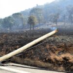 Sul Informação - Monchique viu o fogo passar e deixar uma destruição maior «que a de 2003»