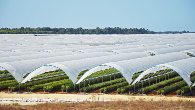 Sul Informação - Juntos pelo Sudoeste quer obrigar CCDR Alentejo a avaliar impacte ambiental das estufas no Parque Natural