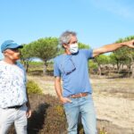 Sul Informação - Juntos pelo Sudoeste quer obrigar CCDR Alentejo a avaliar impacte ambiental das estufas no Parque Natural