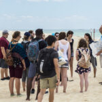 Sul Informação - “Mid Season Campus” leva potenciais alunos estrangeiros da UAlg a conhecer a Ria Formosa