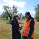 Sul Informação - Pauline Yang: Festival Terras sem Sombra «é algo que nunca esquecerei!»