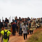 Sul Informação - Beja recebeu o Terras sem Sombra, festival nas transumâncias do mundo