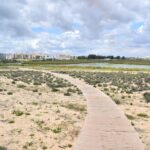 Sul Informação - Andar de bicicleta entre Armação de Pêra e os Salgados vai ser “um luxo”