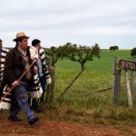 Sul Informação - Beja recebeu o Terras sem Sombra, festival nas transumâncias do mundo
