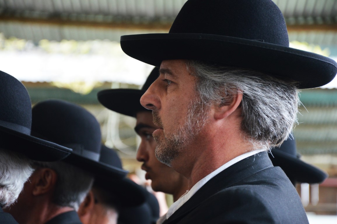 Sul Informação - Beja recebeu o Terras sem Sombra, festival nas transumâncias do mundo