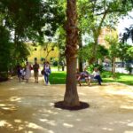 Sul Informação - Já é possível «criar mais memórias» no Jardim da Alameda de Faro