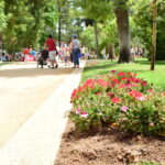 Sul Informação - Já é possível «criar mais memórias» no Jardim da Alameda de Faro