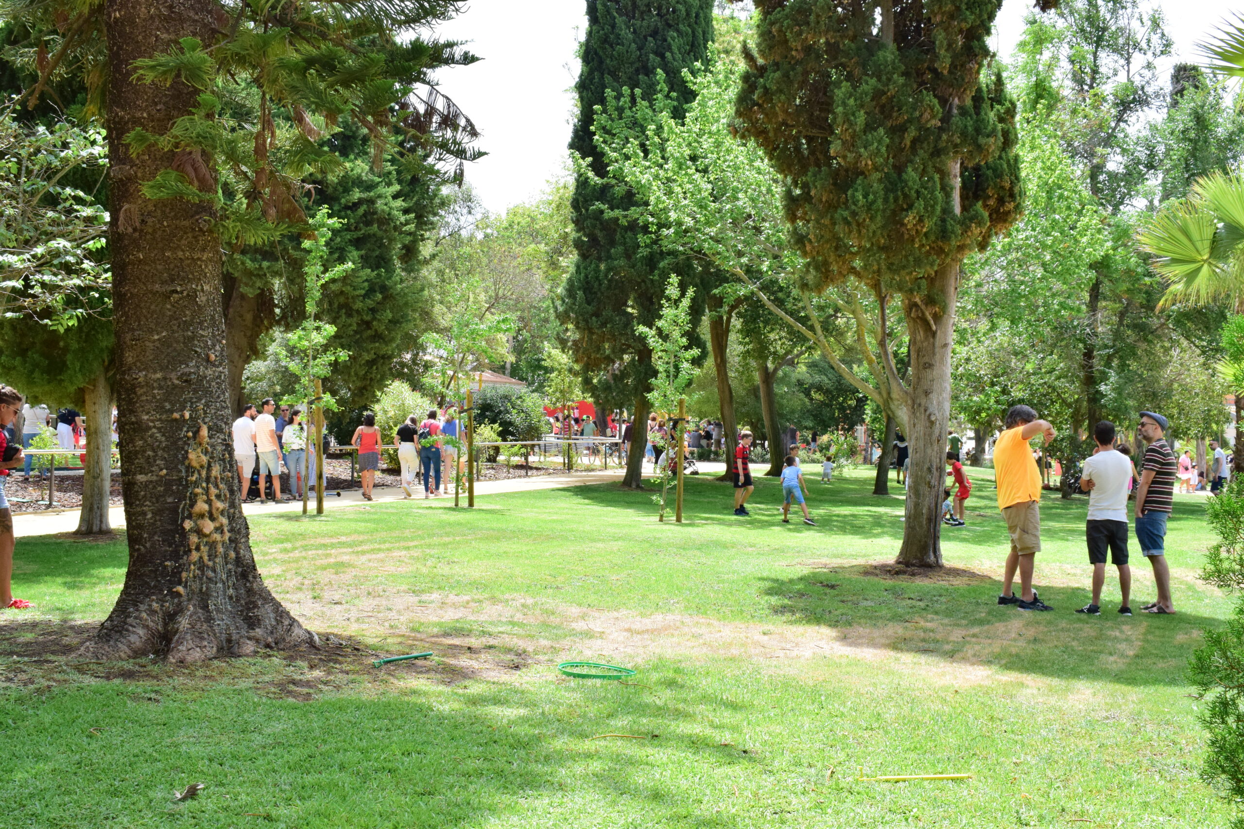 Sul Informação - Já é possível «criar mais memórias» no Jardim da Alameda de Faro