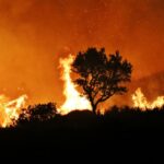 Sul Informação - Há mais bombeiros e sete meios aéreos a combater o incêndio de Monchique (com fotos)