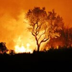 Sul Informação - Há mais bombeiros e sete meios aéreos a combater o incêndio de Monchique (com fotos)