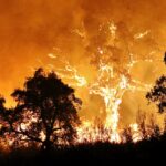 Sul Informação - Há mais bombeiros e sete meios aéreos a combater o incêndio de Monchique (com fotos)