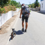 Sul Informação - Depois de 738 quilómetros a pé pela EN2, as aventuras de Darek e Pindol continuam em breve