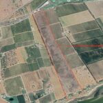 Sul Informação - Dono de terreno junto à Ria Formosa continua a abater árvores apesar do embargo