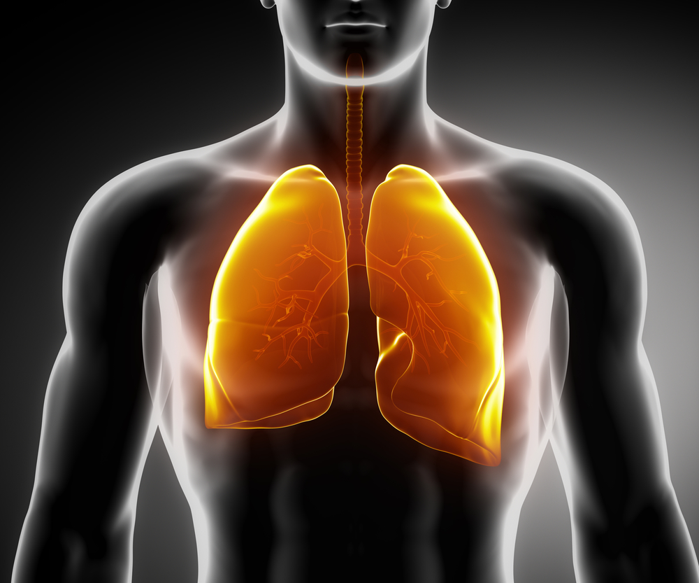 Sul Informação - ARS estende exames de Espirometria a Lagos, Aljezur e Vila do Bispo