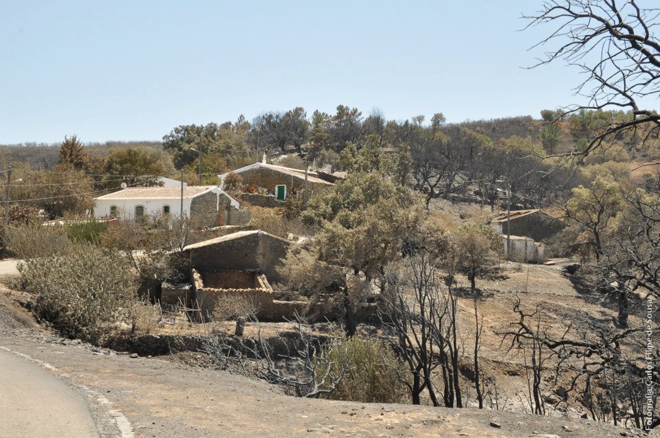 Sul Informação - DeVIR coloca artistas nacionais a refletir sobre a desertificação no Algarve