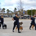 Sul Informação - Recursos da GNR são «escassos» mas a criminalidade diminuiu no Algarve em 2018