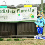 Sul Informação - Gerações uniram-se para plantar árvores onde o fogo as destruiu junto ao Autódromo de Portimão
