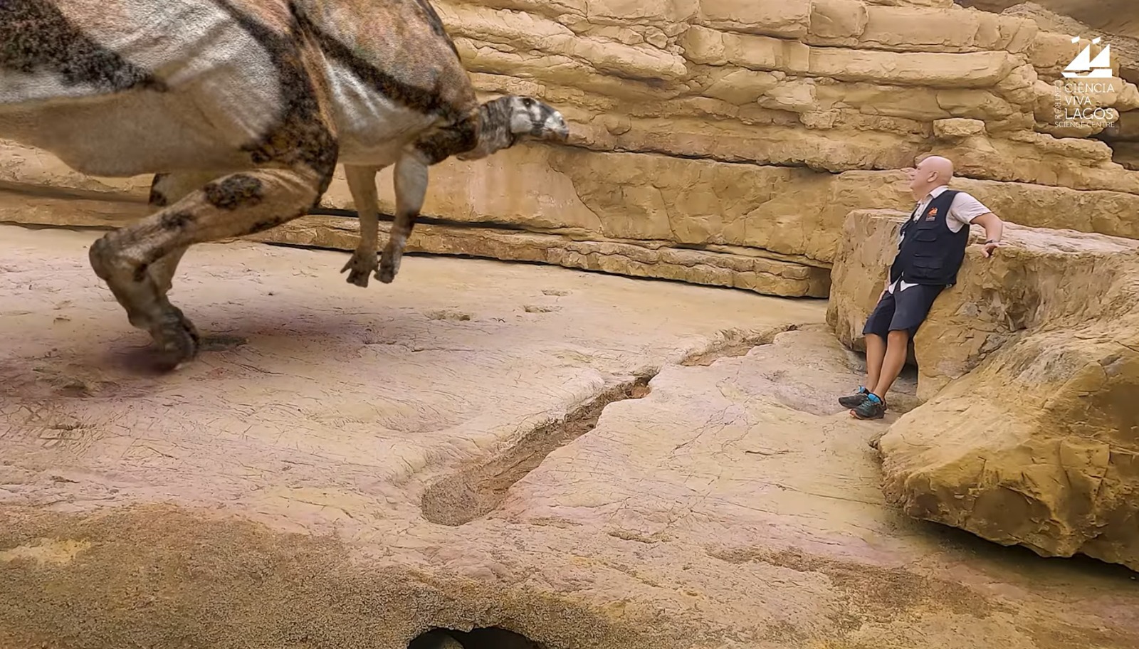 Sul Informação - Conheça os dinossauros que já caminharam no Algarve [vídeo]