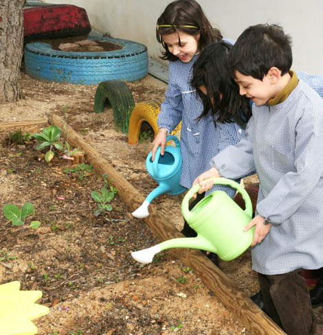Sul Informação - Seis escolas de Albufeira são candidatas à Bandeira Verde Eco-Escolas