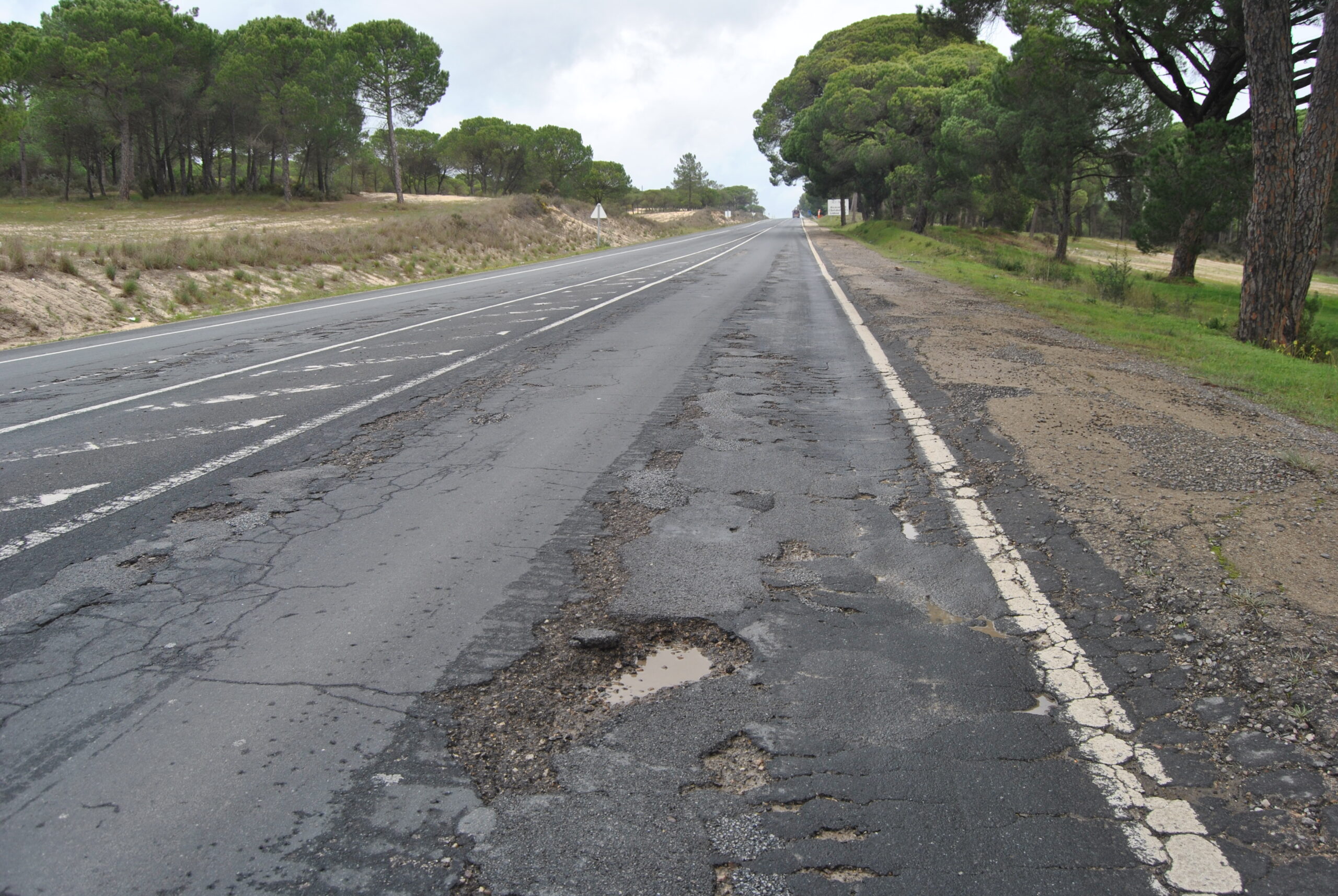Sul Informação - Comissão de Utentes do IC1 promove marcha lenta entre Alcácer e Grândola