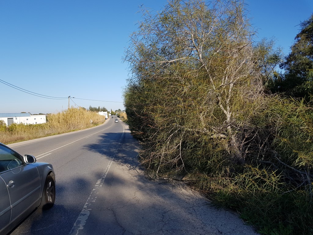 Sul Informação - Falta de limpeza das bermas ameaça segurança na EN125 na zona da Fuseta, acusa União de Freguesias