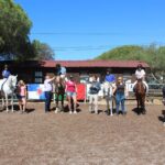 Sul Informação - Terapia com cavalos ajuda à integração social de jovens