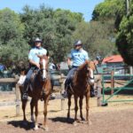Sul Informação - Terapia com cavalos ajuda à integração social de jovens