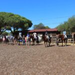 Sul Informação - Terapia com cavalos ajuda à integração social de jovens