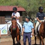 Sul Informação - Terapia com cavalos ajuda à integração social de jovens