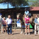 Sul Informação - Terapia com cavalos ajuda à integração social de jovens