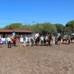Sul Informação - Terapia com cavalos ajuda à integração social de jovens