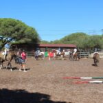 Sul Informação - Terapia com cavalos ajuda à integração social de jovens