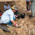 Sul Informação - Arqueologia: As telhas que cobriram a vida e a morte na Cacela islâmica