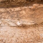 Sul Informação - Arqueologia: As telhas que cobriram a vida e a morte na Cacela islâmica