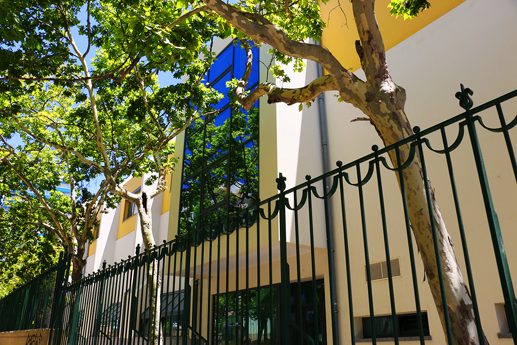 Sul Informação - Câmara de Faro lamenta morte de jovem estudante em acidente de mota
